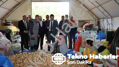 Dinar’da ceviz zamanı: Hasat yüzleri güldürdü