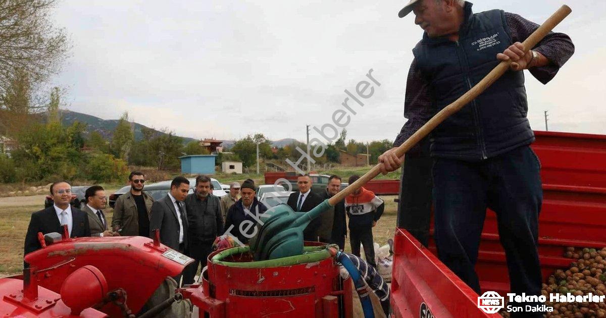 AFYONKARAHİSAR'IN DİNAR İLÇESİNDE CEVİZ HASADI BAŞLARKEN, REKOLTENİN BU YIL ÇİFTÇİLERİ MEMNUN ETTİĞİ BELİRTİLDİ.