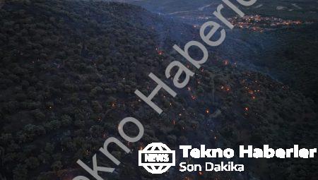 Aydın Bozdoğan’da Korkutan Orman Yangını: Alevler Büyük Ölçüde Kontrol Altına Alındı