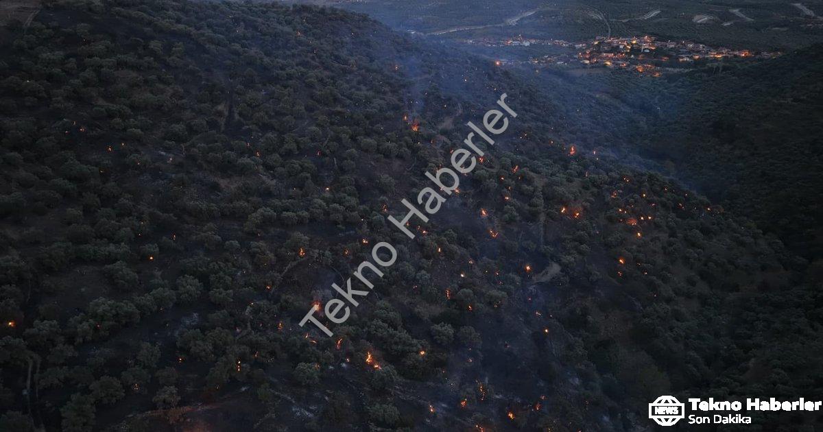 "Aydın Bozdoğan'da Korkutan Orman Yangını: Alevler Büyük Ölçüde Kontrol Altına Alındı" başlıklı habe