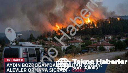 Aydın Bozdoğan’da Korkutan Yangın: Alevler Ormana Sıçradı