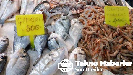 Foça Balık Hali’nde Kış Bereketi: Sardalya ve Uskumru Mevsimi