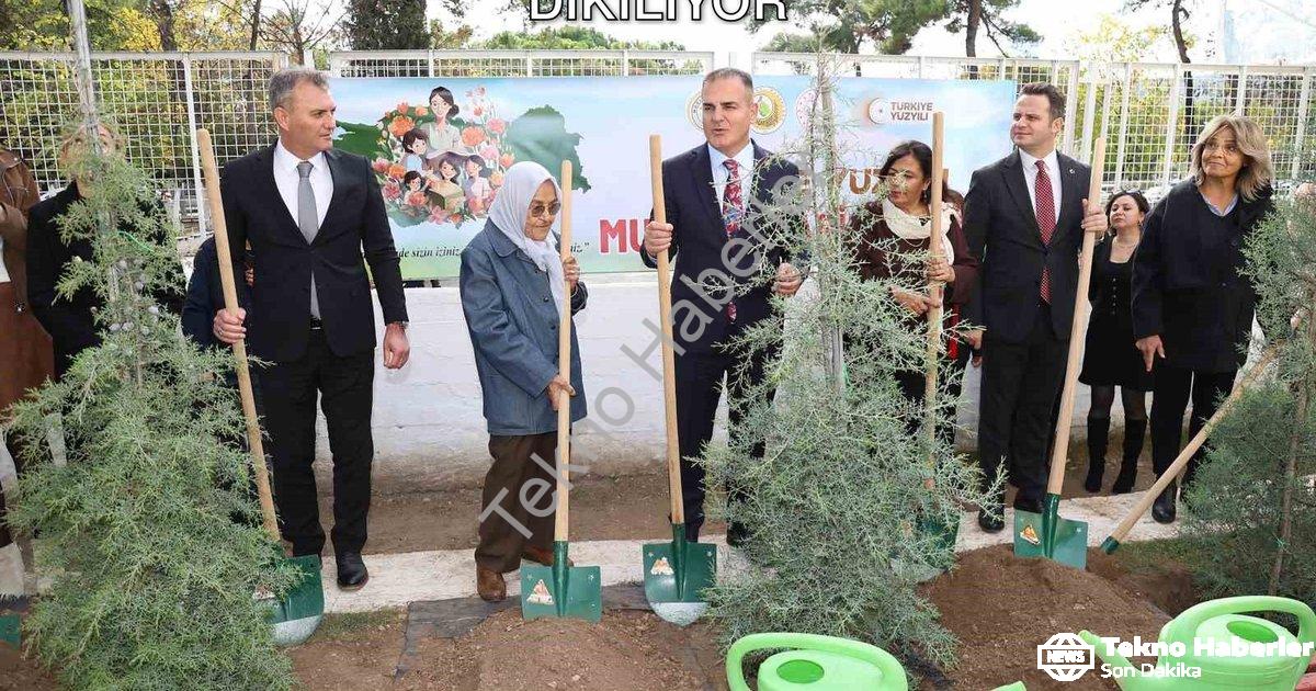 "Muğla'da Öğretmenler İçin 16.453 Fidan Dikiliyor" başlıklı haber için fotorealistik, profesyonel bi