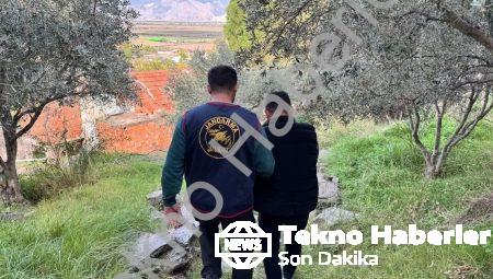 Aydın Söke’de Nefes Kesen Operasyon: Firari Zanlı Ormanda Yakalandı