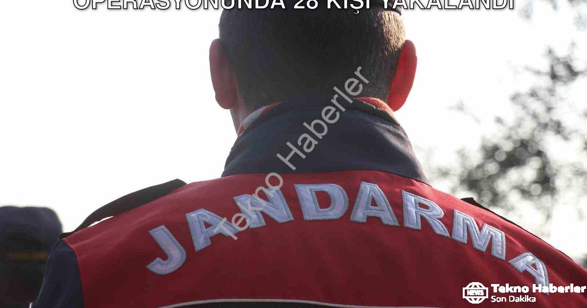 "Aydın'da Suçlulara Şok Baskın: Jandarma Operasyonunda 28 Kişi Yakalandı" başlıklı haber için fotore