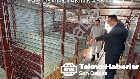 Sarıgöl Kaymakamı Halil Dalak’tan Hayvan Bakımevine Yakın Markaj