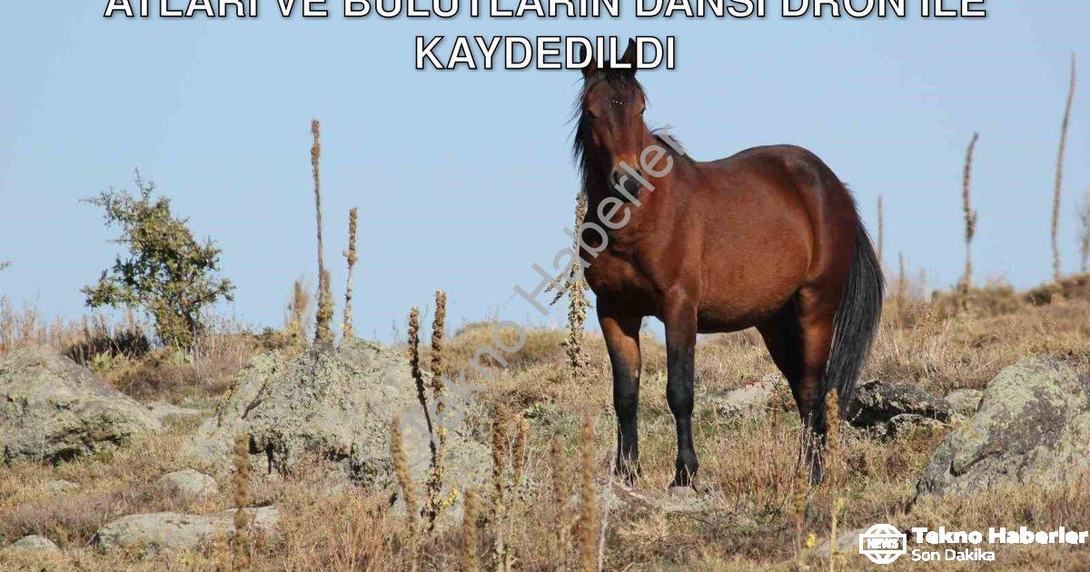"Kumalar Dağı’nda Görsel Şölen: Yılkı Atları ve Bulutların Dansı Dron ile Kaydedildi" başlıklı haber