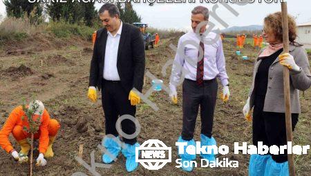 Dalaman Açık Cezaevi’nde Tarımsal Hamle: Sakız Ağacı Bahçeleri Kuruluyor