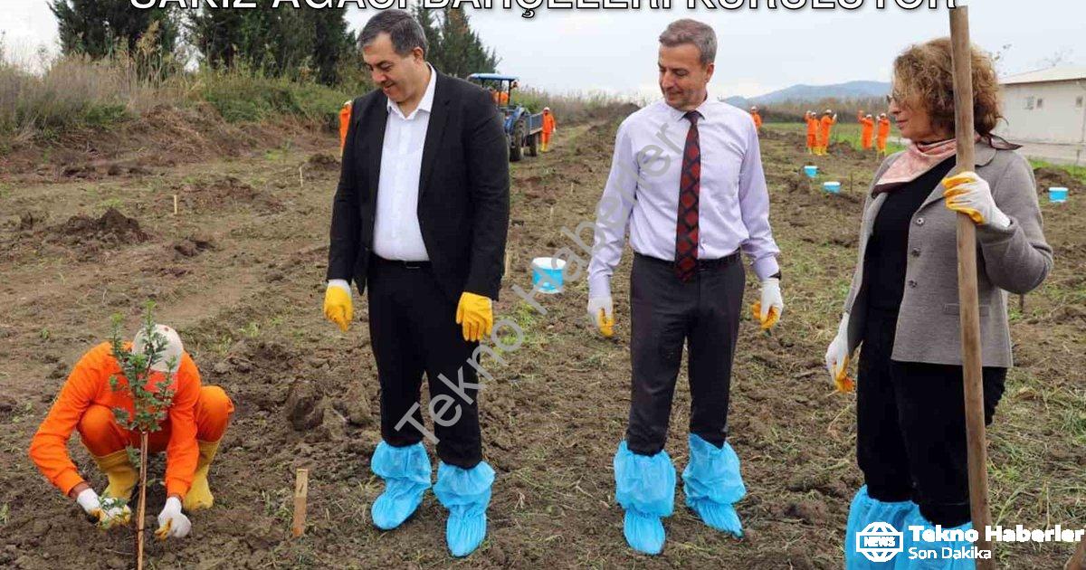 "Dalaman Açık Cezaevi'nde Tarımsal Hamle: Sakız Ağacı Bahçeleri Kuruluyor" başlıklı haber için fotor