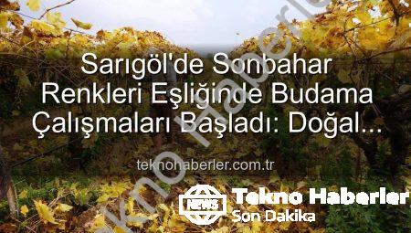 Sarıgöl’de Sonbahar Renkleri Eşliğinde Budama Çalışmaları Başladı: Doğal Güzellik ve Ekonomik Değer Bir Arada
