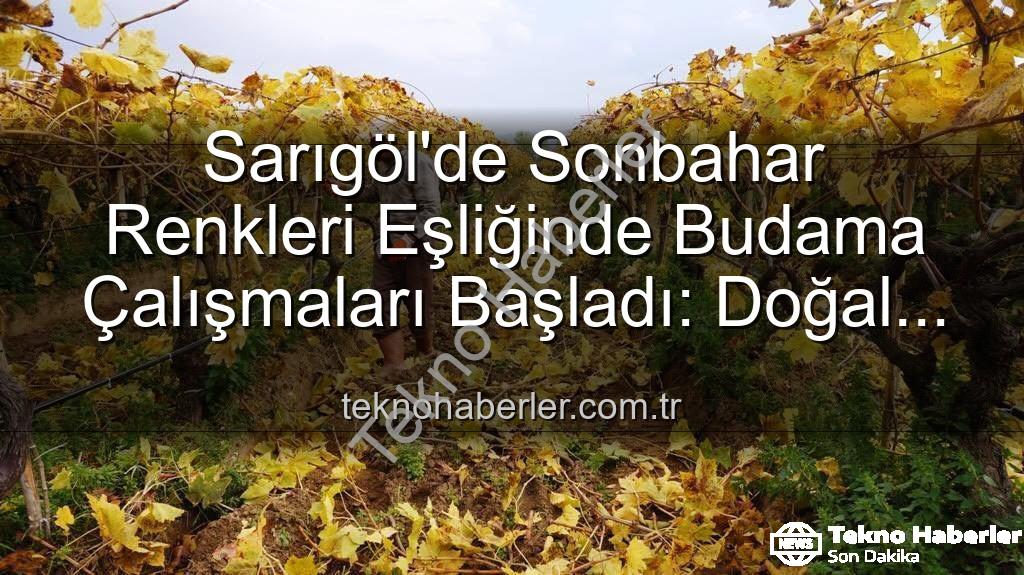 Sarıgöl bağ budama - Sarıgöl'de Sonbahar Renkleri Eşliğinde Budama Çalışmaları Başladı: Doğal Güzellik ve Ekonomik Değer Bir Arada