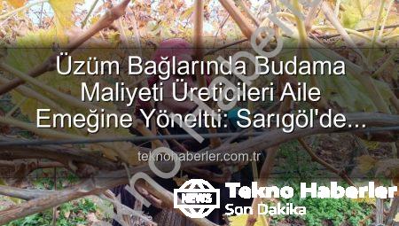Üzüm Bağlarında Budama Maliyeti Üreticileri Aile Emeğine Yöneltti: Sarıgöl’de Yeni Dönem