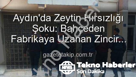 Aydın’da Zeytin Hırsızlığı Şoku: Bahçeden Çalınan Ürünler Organize Sanayide Yakalandı!