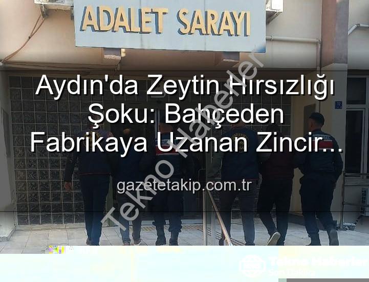 zeytin hırsızlığı - Aydın'da Zeytin Hırsızlığı Şoku: Bahçeden Çalınan Ürünler Organize Sanayide Yakalandı!