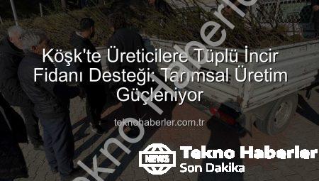 Köşk’te Üreticilere Tüplü İncir Fidanı Desteği: Tarımsal Üretim Güçleniyor