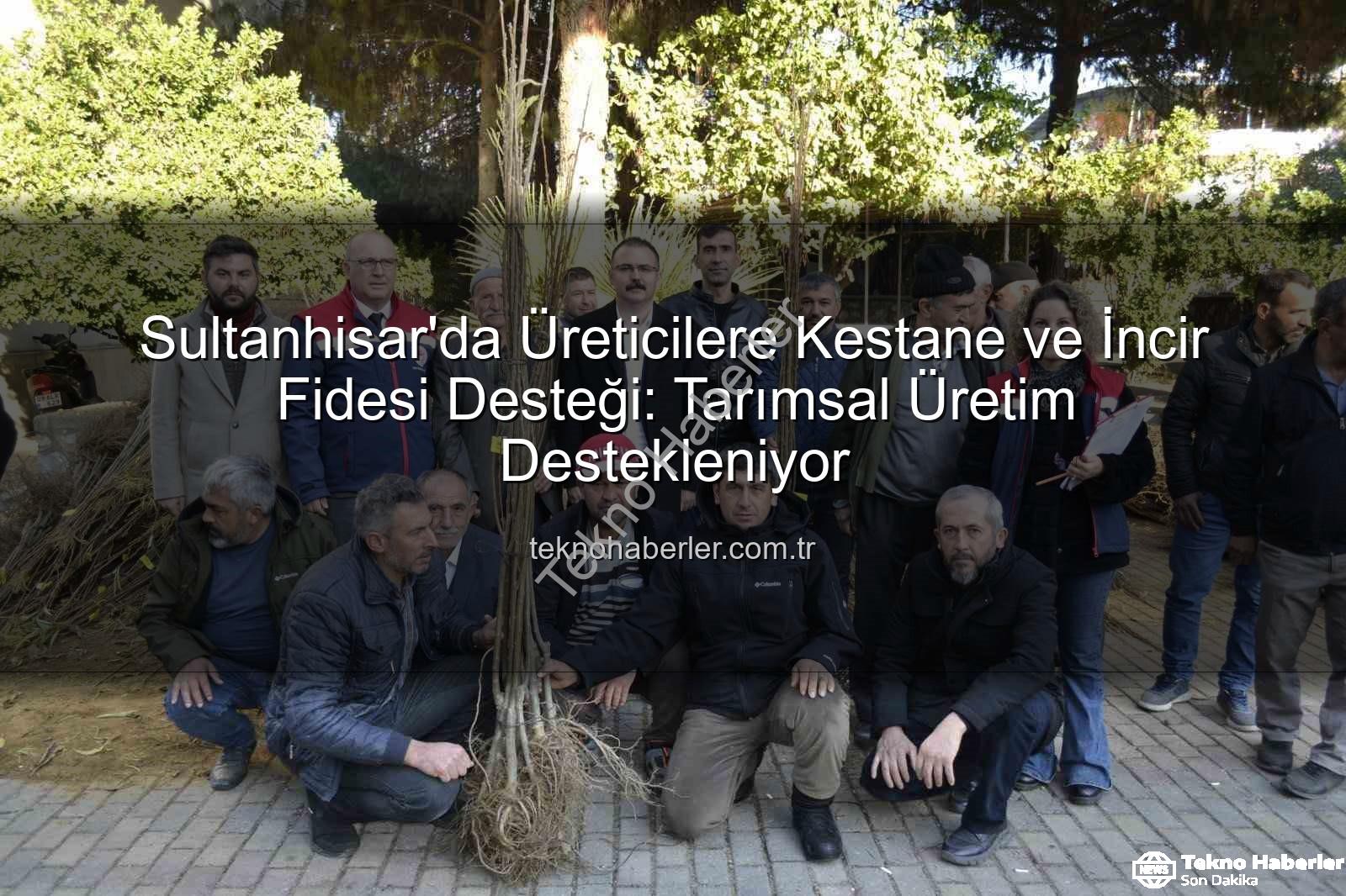 kestane incir fidesi - Sultanhisar'da Üreticilere Kestane ve İncir Fidesi Desteği: Tarımsal Üretim Destekleniyor