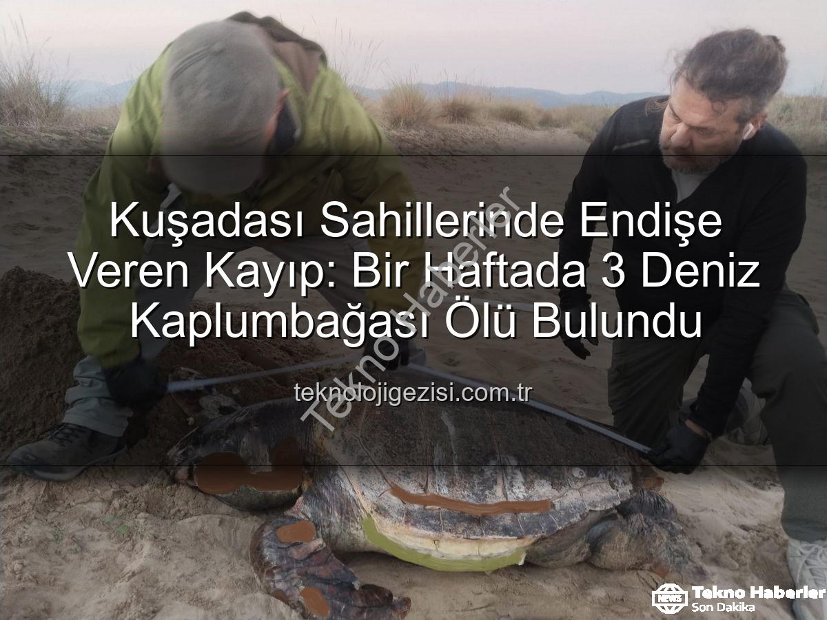 deniz kaplumbağası ölümleri - Kuşadası Kıyılarında Endişe Veren Kayıp: Bir Haftada 3 Deniz Kaplumbağası Hayatını Yitirdi
