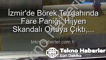 İzmir’de Börek Tezgahında Fare Paniği: Hijyen Skandalı Ortaya Çıktı, İşletme Mühürlendi