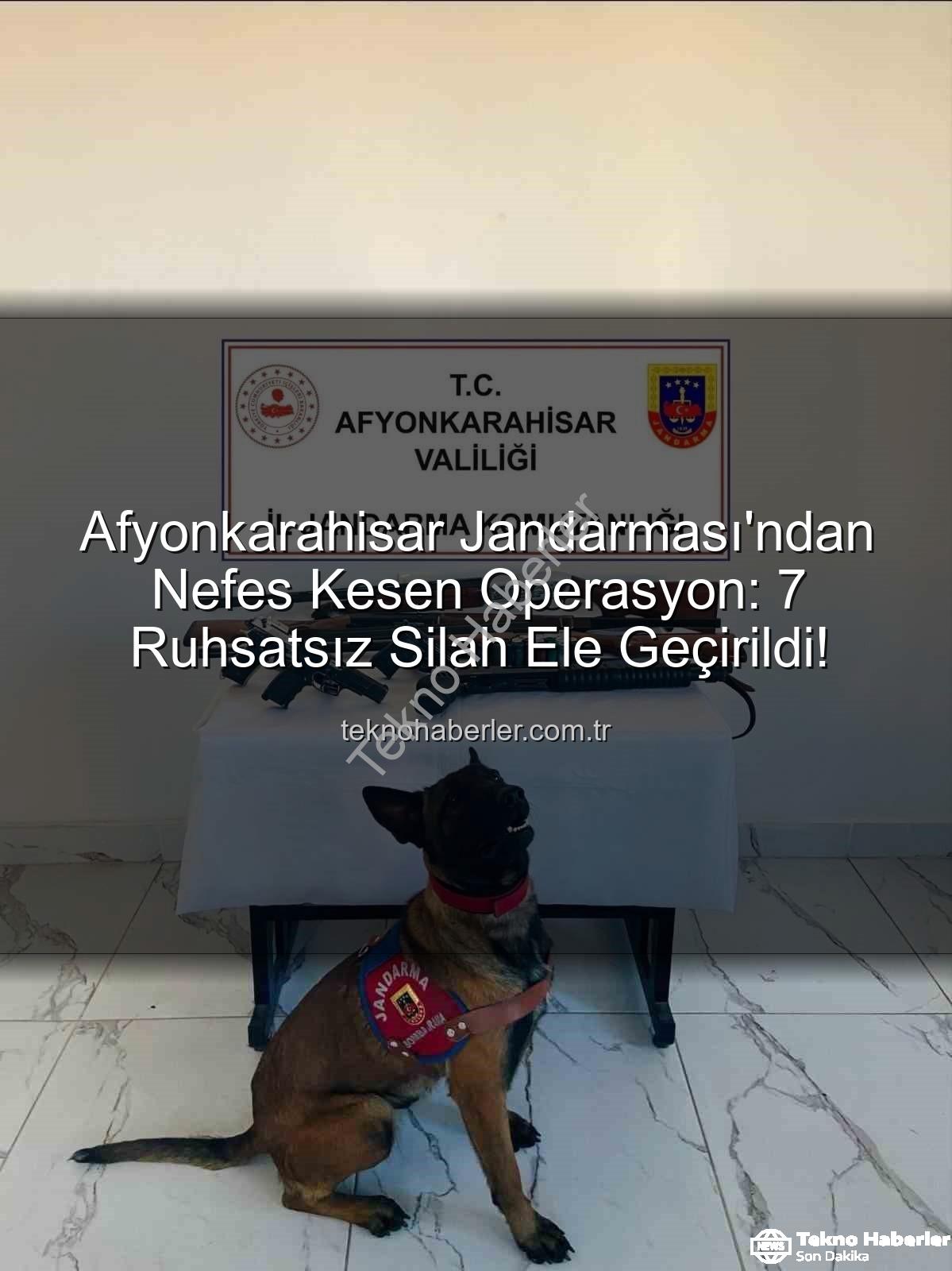 ruhsatsız silah - Afyonkarahisar Jandarması'ndan Nefes Kesen Operasyon: 7 Ruhsatsız Silah Ele Geçirildi!