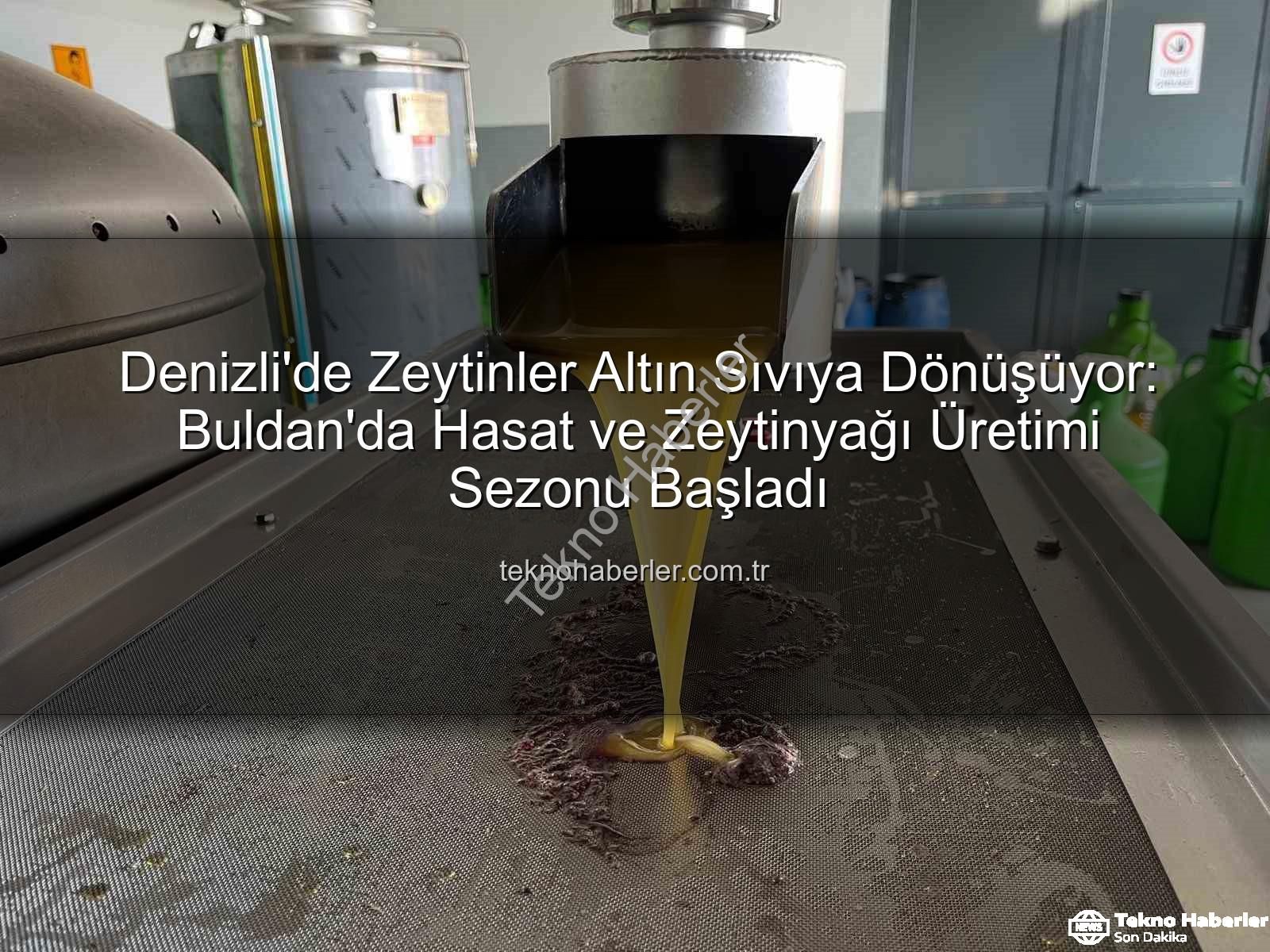 zeytin hasadı - Denizli'de Zeytinler Altın Sıvıya Dönüşüyor: Buldan'da Hasat ve Zeytinyağı Üretimi Sezonu Başladı