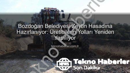 Bozdoğan Belediyesi Zeytin Hasadına Hazırlanıyor: Üreticilerin Yolları Yeniden Yapılıyor