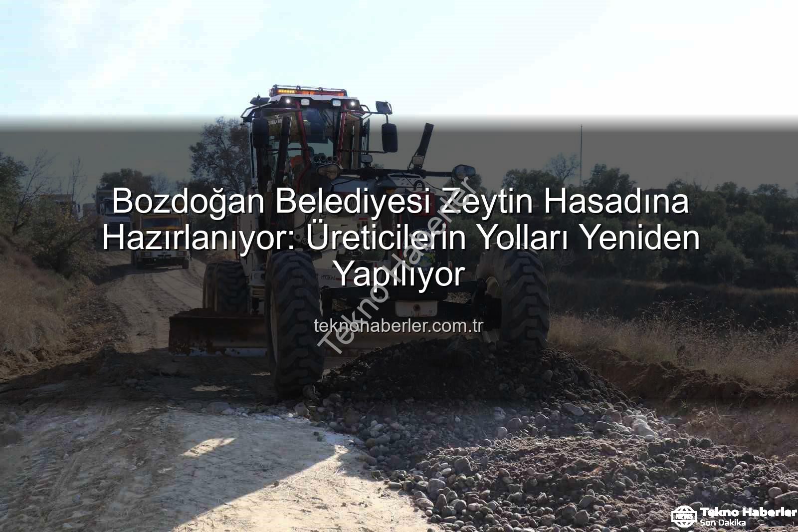 üretici yolları - Bozdoğan Belediyesi Zeytin Hasadına Hazırlanıyor: Üreticilerin Yolları Yeniden Yapılıyor