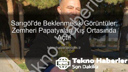 Sarıgöl’de Beklenmedik Görüntüler: Zemheri Papatyaları Kış Ortasında Açtı!